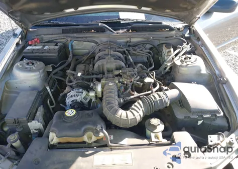 2009 Ford Mustang V6/V6 Premium z USA, uszkodzony, nr VIN 1ZVHT80N495114004